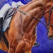 see more listings in the Equestrian Art Prints section