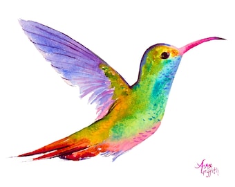 A Captivating Hummingbird Print : A Colorful Delight