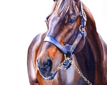 Majestic Bay - A Captivating Watercolor Portrait of a Thoroughbred Racehorse with White Background