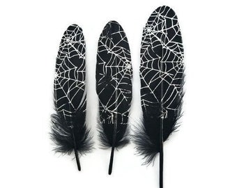 Black/white cobweb feathers