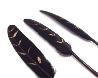 Black and gold feathers