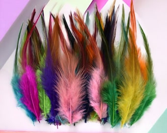 Colorful rooster feathers (different colors)