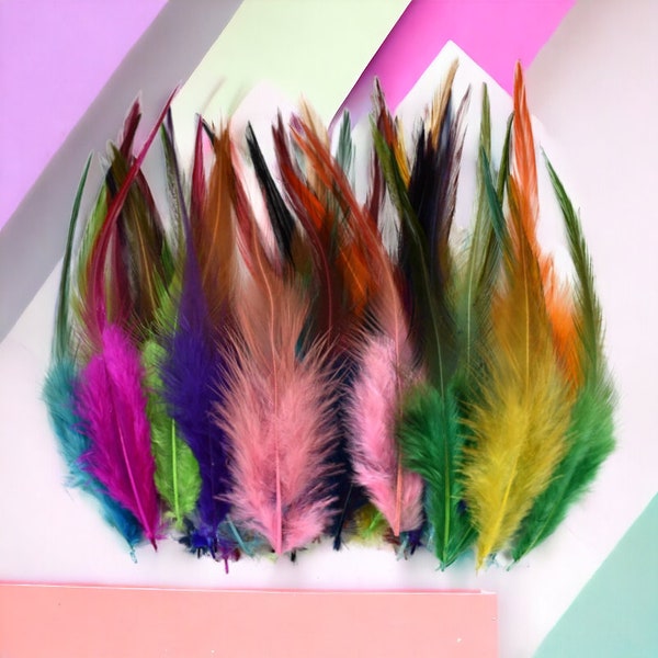 Plumes de coq colorées (différents coloris)