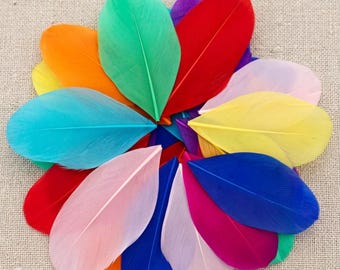 Set of 10 Goose Feathers (4-8 cm) – Assorted Colors – Jewelry and Decor
