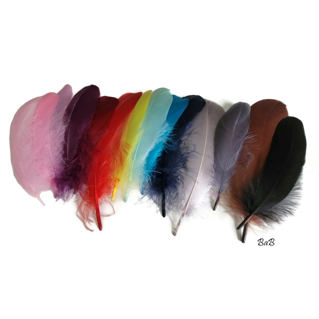Goose Down Feathers X10 Etsy