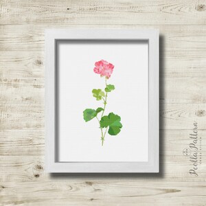 Può includere: Un punto croce incorniciato di un fiore di geranio rosa con foglie e stelo verdi. L'opera d'arte è esposta in una cornice bianca su sfondo bianco. La cornice è su una superficie di legno chiaro.