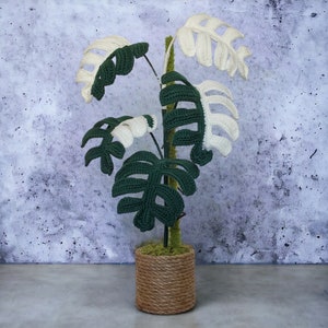 Peut inclure: Une plante en crochet avec des feuilles vertes et blanches dans un pot en osier brun. La plante est posée sur une surface en béton gris.