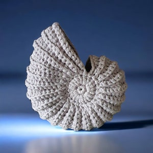 May include: A light grey, crocheted decorative bowl in a spiral seashell shape. The bowl is made of thick, textured yarn and sits on a blue surface. The bowl's design features a central circular base with radiating ridges.