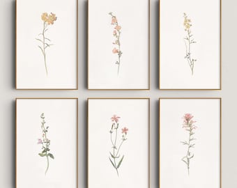 Botanical illustration  Print Set: Neutral Farmhouse Gallery Wall Art (Digital Download)