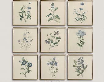 May include: Nine framed botanical prints featuring detailed illustrations of blue flowers and green foliage. Each print is in a gold frame and set against a cream background. The bottom center print has the text "WALL DECO PRINT SHOP".