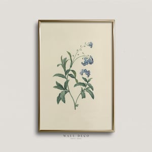 Vintage Botanical Illustration Print, Blue Flower Watercolor Art, Minimalist Floral Art Print, Farmhouse Digital Printable Wall Decor
