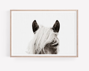 Pode incluir: Uma fotografia a preto e branco da cabeça e pescoço de um cavalo. O cavalo tem uma longa crina branca e está a olhar para o lado. O fundo é uma parede branca.
