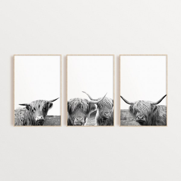 Highland Cow Set of 3 Prints Farm Animal Printable Set Farmhouse Wall Art Rustic Decor Cow Photography Boho Wall Decor Instant Download