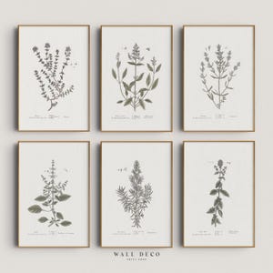 Galerie murale botanique vintage, lot de 6 impressions fleurs neutres, ensemble de gravures florales anciennes, décoration murale imprimable numérique, art mural ferme