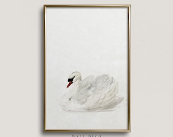 Antique Swan Watercolor Print: Vintage Nursery Art (Digital Download)