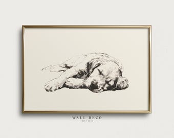 Golden Retriever im Schlaf – Skizzendruck, Vintage-Hundezeichnung als Wandkunst (digital druckbar)
