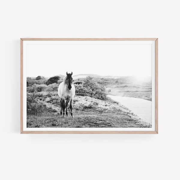 Black and White Horse Print, DIGITAL DOWNLOAD, Animal Photography, Horse Printable, Farm Animal Poster, Farmhouse Wall Art, Instant Download