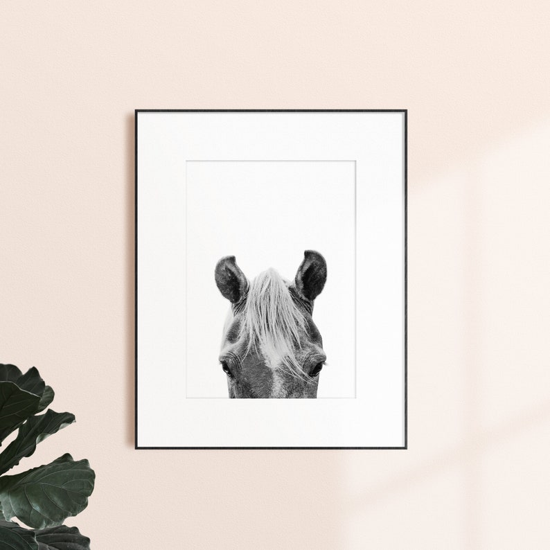 Set of 3 Black and White Horses Prints Horse Photography Etsy