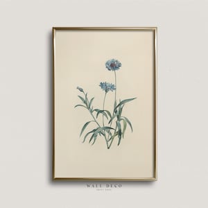 Vintage Blue Flower Illustration, Botanical Watercolor Art Print, Minimalist Floral Art Print, Farmhouse Digital Printable Wall Decor