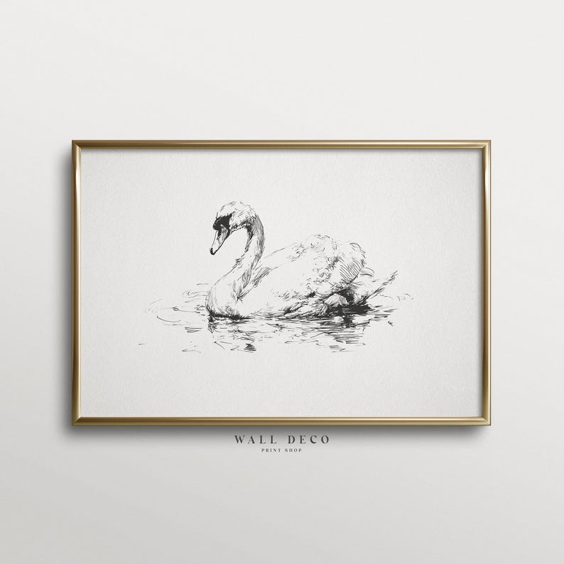 Swan Ink Drawing Elegant Swan Ink Drawing – Minimalist Nature Wall Art (digital Download ...