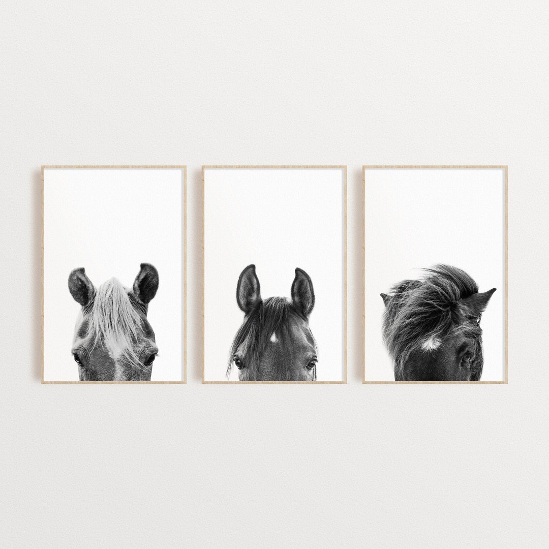 Set of 3 Black and White Horses Prints, Horse Photography, Horse