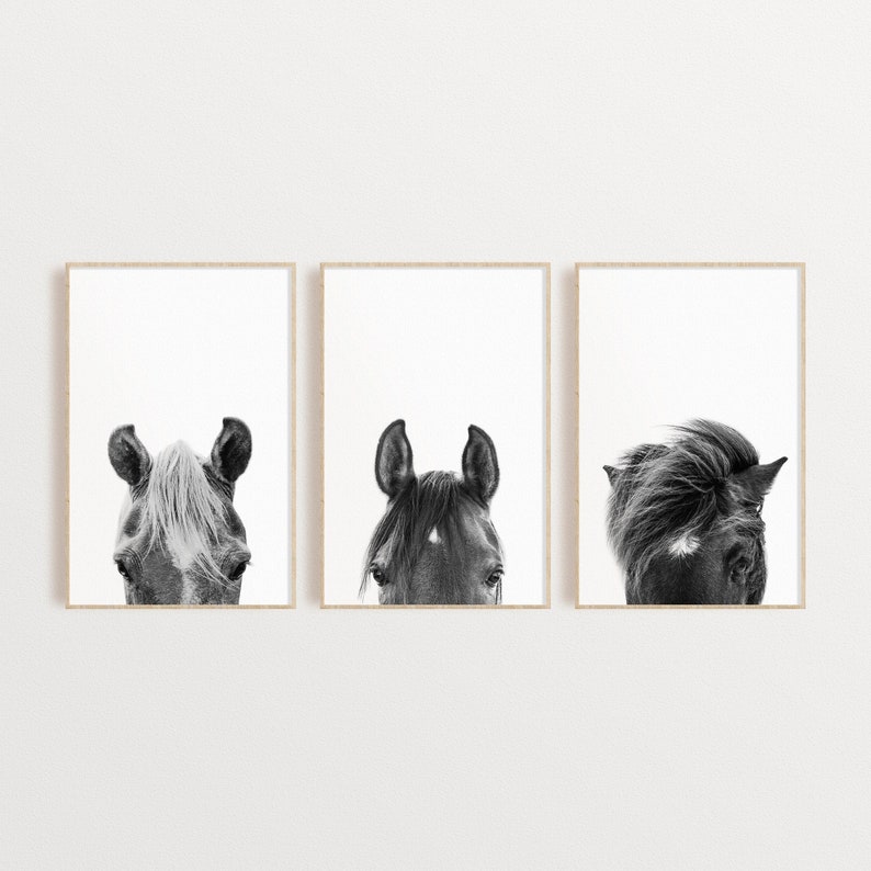 Set of 3 Black and White Horses Prints Horse Photography Etsy
