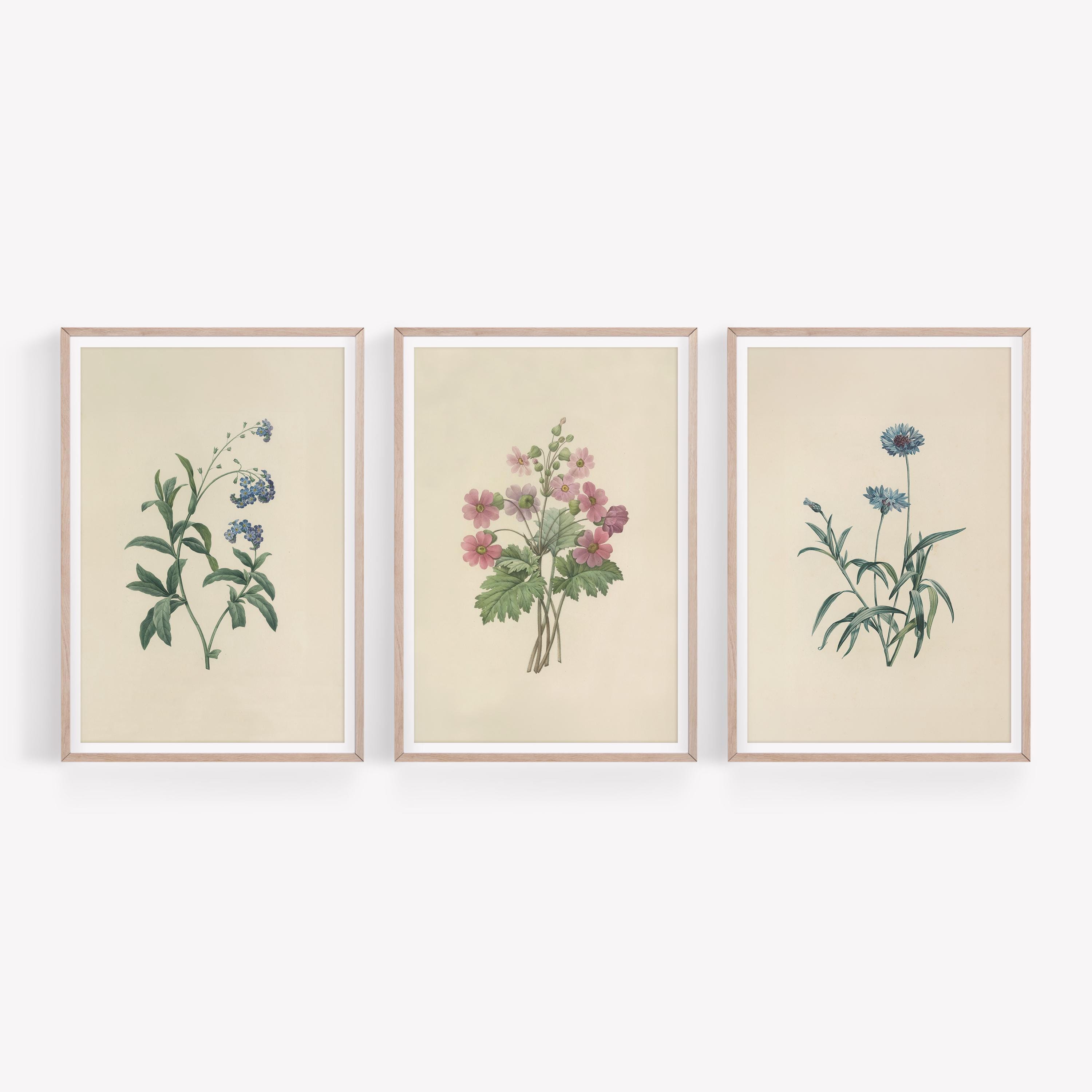 Vintage Botanical Prints Set: Antique French Floral Gallery Wall Art ...