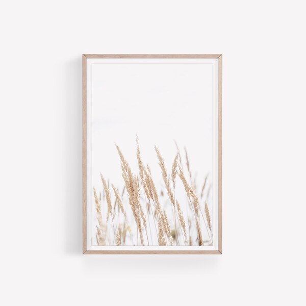 Grass Wall Etsy