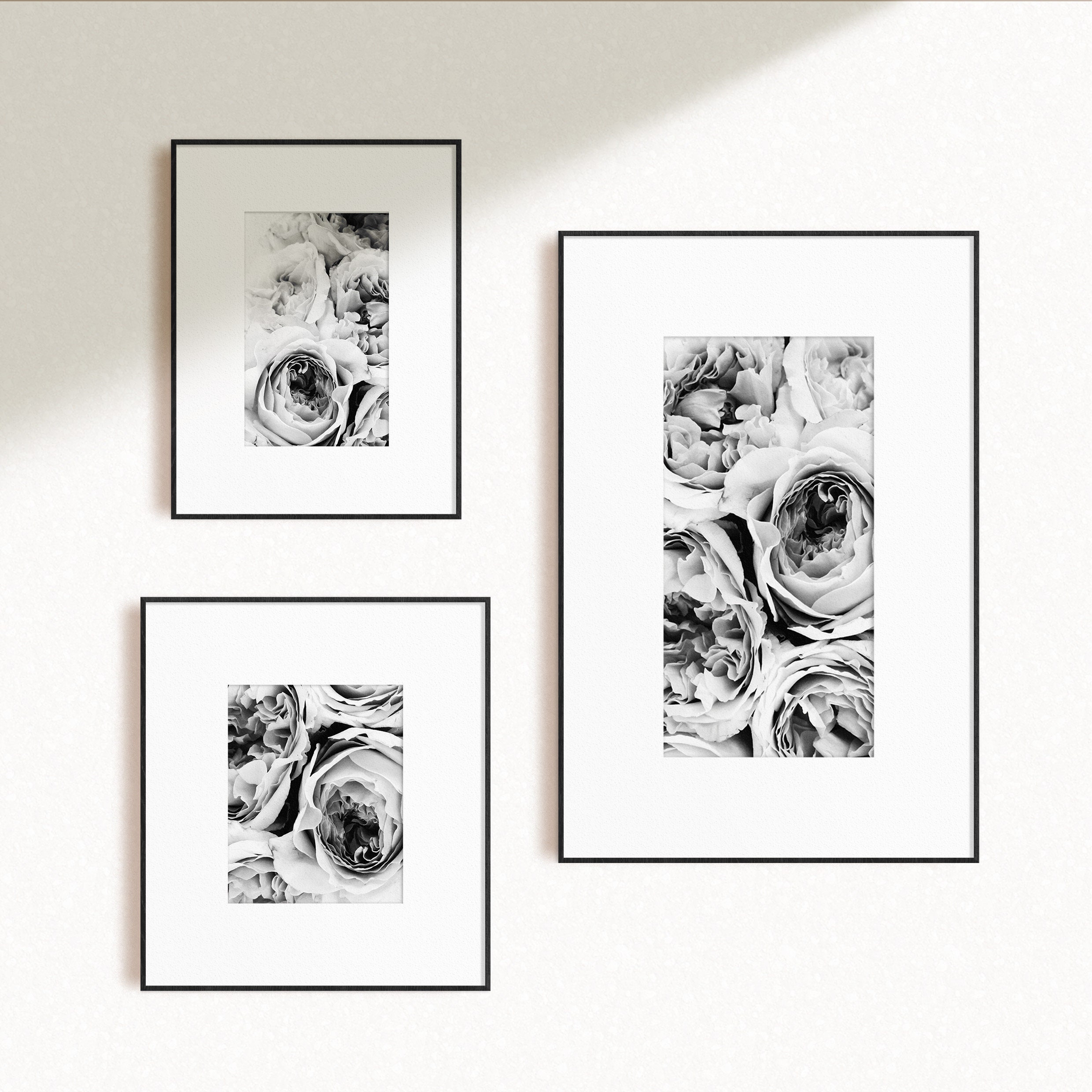 Set of 3 Black and White Peonies Prints Peony Wall Art Set Etsy Canada