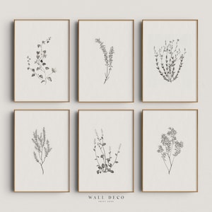 Lot de 6 murs de galerie botanique vintage, croquis minimaliste minimaliste botanique neutre, décoration murale imprimable numérique de ferme moderne