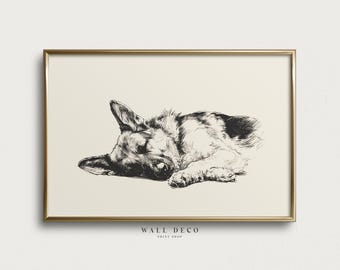 Deutscher Schäferhund im Schlaf – Kunstdruck, Hundeskizze im Vintage-Stil, Tierzeichnung als Wandbild