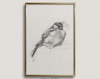 Vintage Bird Pencil Sketch Art Print: Minimalist Farmhouse Decor (Digital Download)