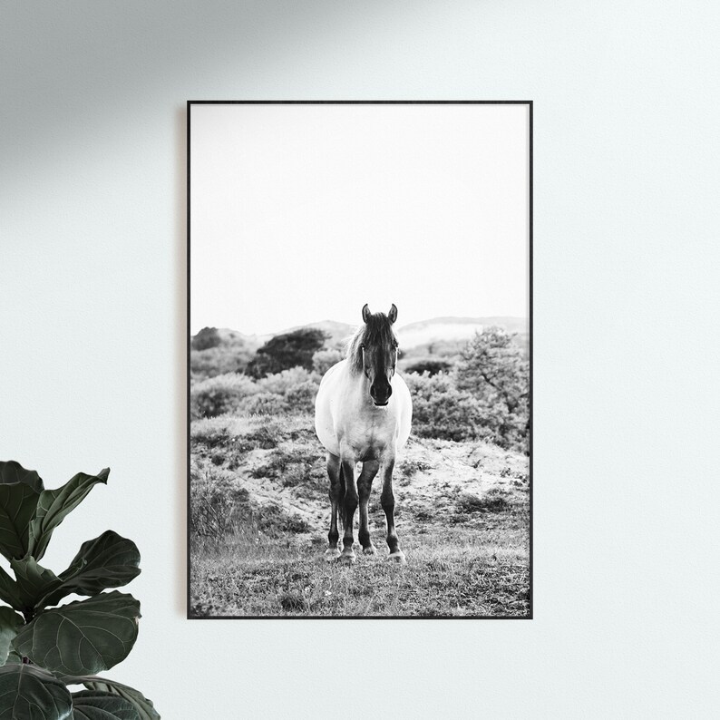 Set of 3 Black and White Horse Prints DIGITAL DOWNLOAD Set Etsy