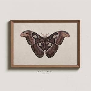 Vintage Butterfly Print, Dark Cottagecore Wall Decor, Antique Insect Wall Art, Halloween Digital Printable Wall Decor, Butterfly Art Print