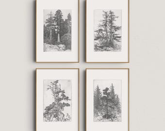 Vintage Wald Bäume Skizze Drucke Set: Rustikale Bauernhaus Wand Kunst Set (digital druckbar)