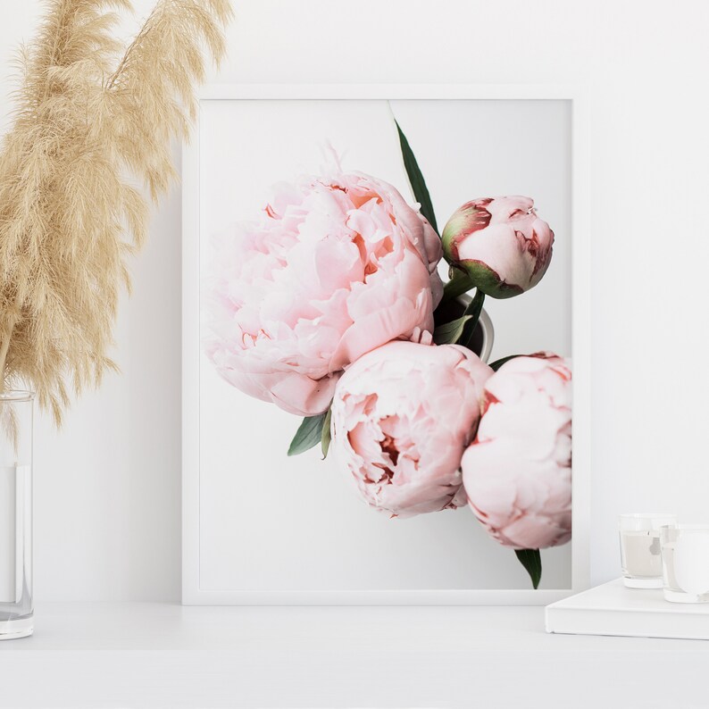 Pink Peony Wall Art Floral Wall Decor DIGITAL DOWNLOAD Etsy