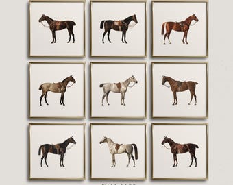 Vintage Horse Prints Gallery Wall Set: Equestrian Art (Digital Download)