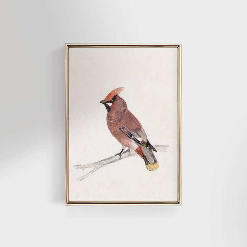 Vintage Bird Cardinal Watercolor Painting, Rustic Winter Bird Art Print, Antique Christmas Holiday Digital Printable Wall Decor image 1