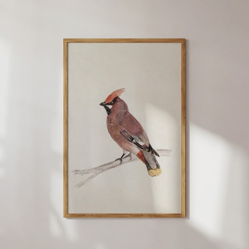 Vintage Bird Cardinal Watercolor Painting, Rustic Winter Bird Art Print, Antique Christmas Holiday Digital Printable Wall Decor image 3