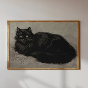 Pode incluir: Uma ilustra&ccedil;&atilde;o vintage de um gato preto de pelo comprido com olhos amarelos, deitado sobre um fundo cinza claro.