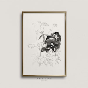 Botanical Watercolor Drawing Print - Monochrome Plant Illustration, Vintage Flower Sketch, Modern Country House Digital Printable Wall Art