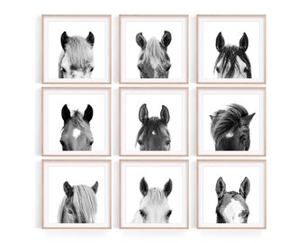 Square Horse Portrait Prints: Farmhouse Gallery Wall Art (Digital Download)