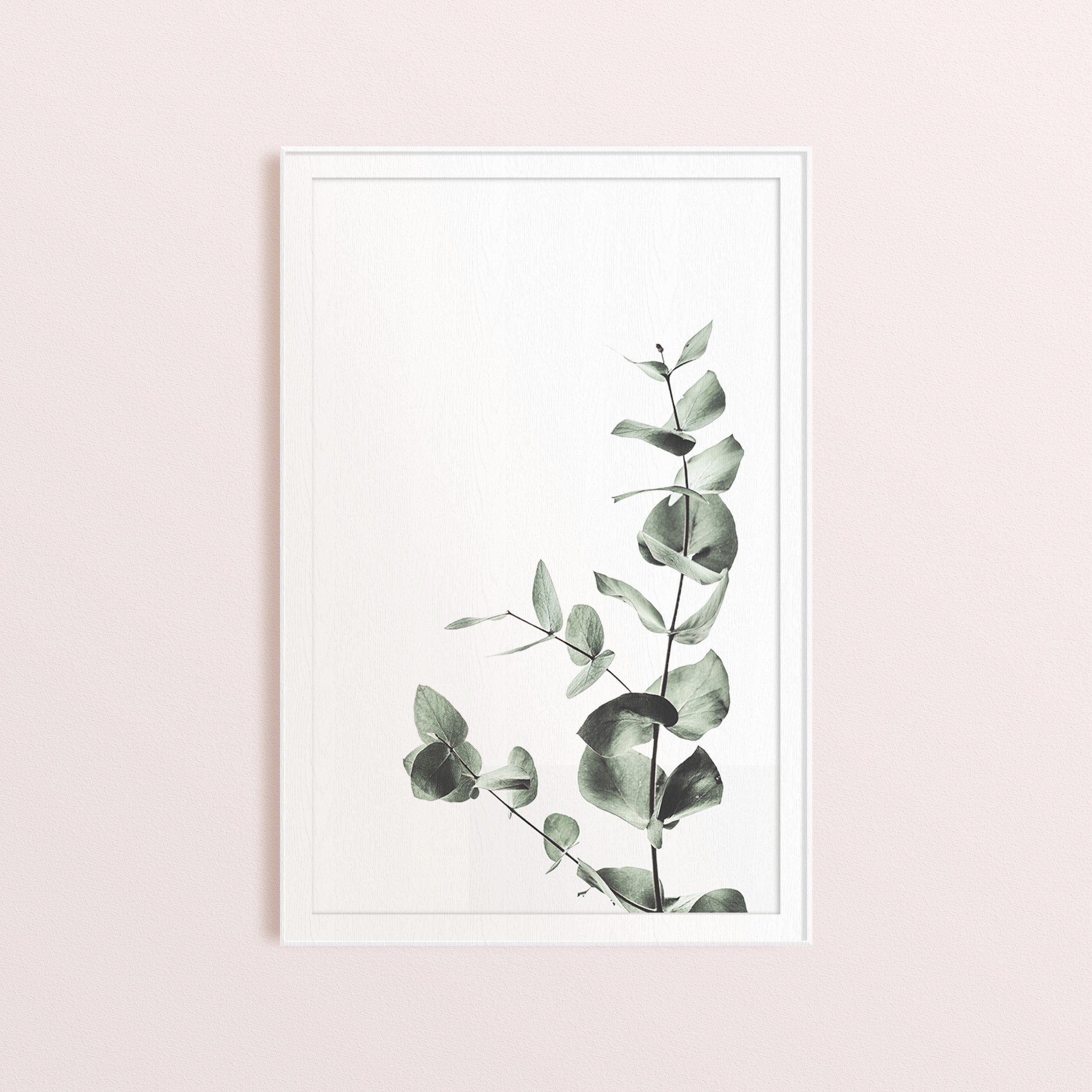 Set of 4 Botanical Prints Botanical Wall Art Set DIGITAL Etsy