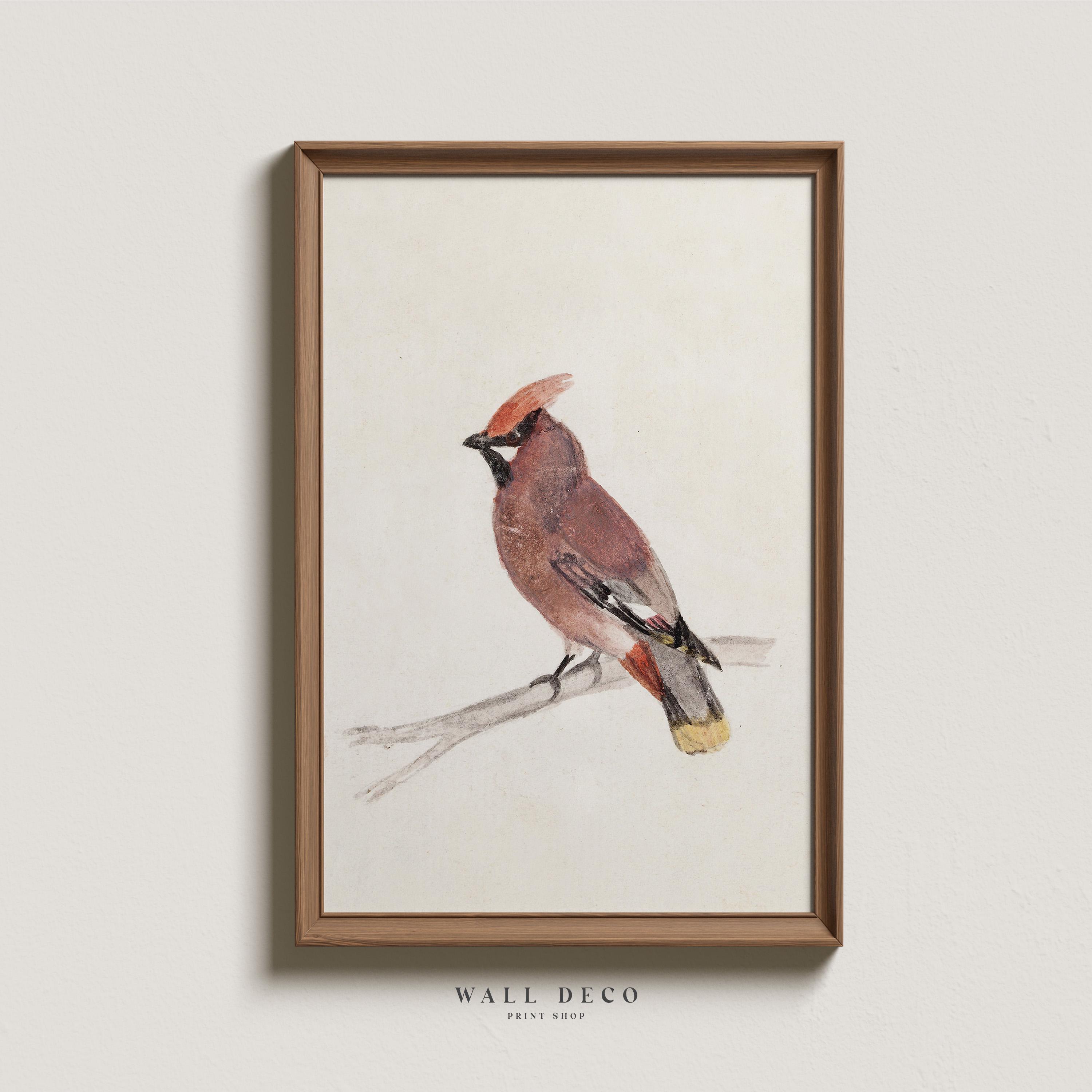 ヴィンテージカーディナル水彩画：素朴な冬の鳥のアート（デジタル印刷