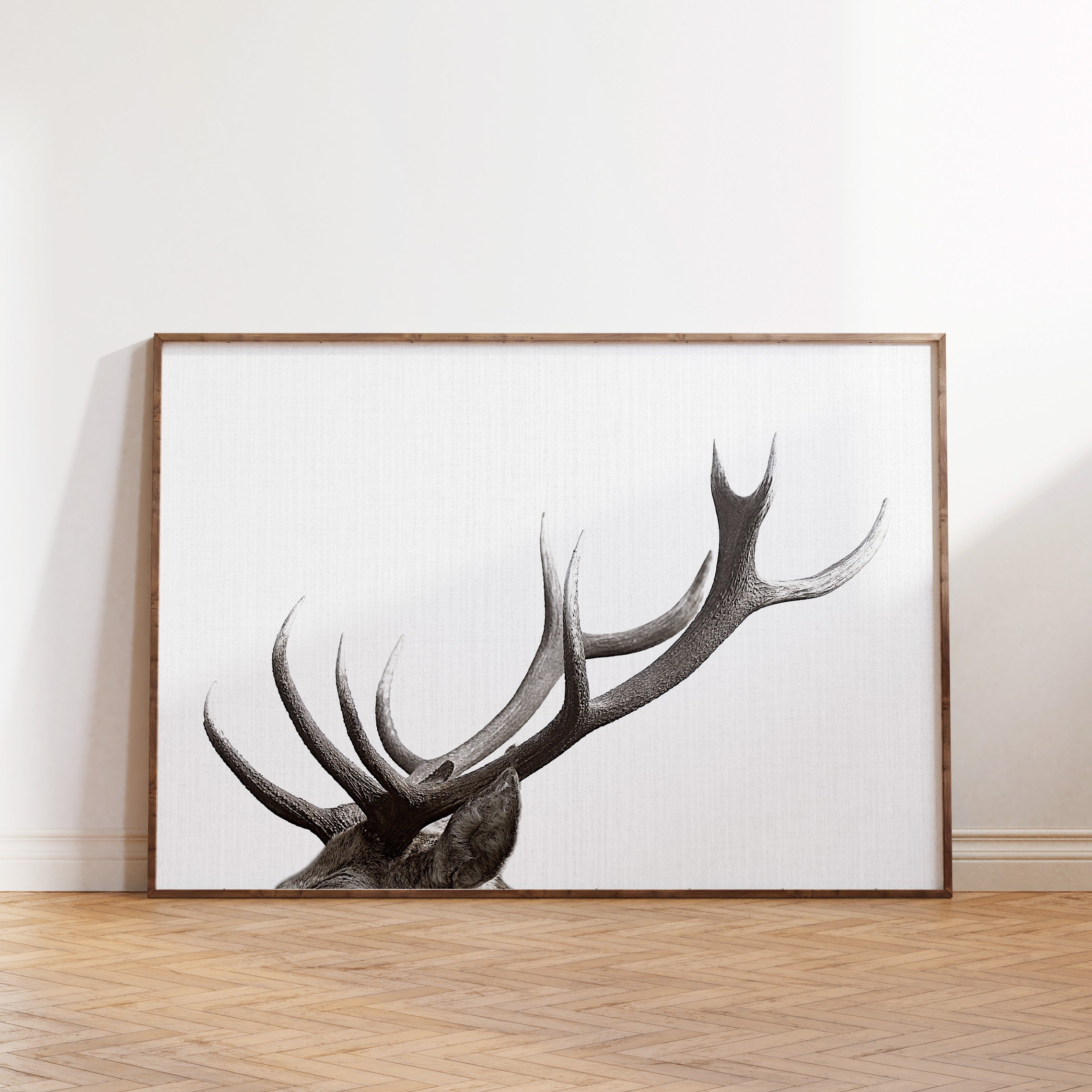 Stag Deer Antler Wall Art Forest Animals Photography Etsy