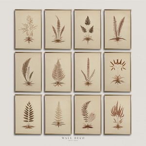 Vintage Neutral Botanical Set of 12 Art Prints, Antique Floral Cottage Gallery Wall Art, French Country House Prints Set Wall Decor