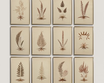 Vintage Botanical Prints Set: Neutral Cottagecore Gallery Wall Art (Digital Download)