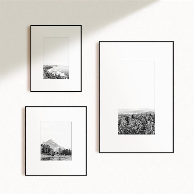 Set of 3 Nature Prints Black and White Nature Wall Art Set Etsy
