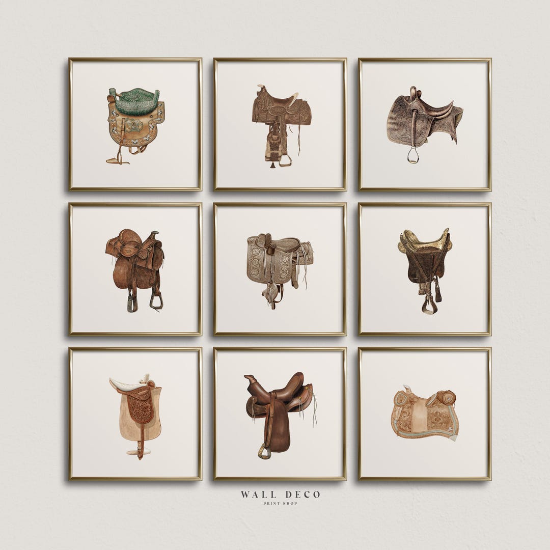 Shaddle Vintage Saddle Illustration Prints: Equestrian Gallery Wall Art (set of ...