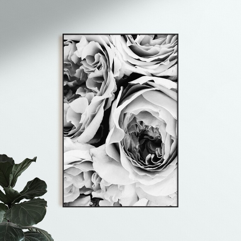 Set of 3 Black and White Peonies Prints Peony Wall Art Set Etsy Canada